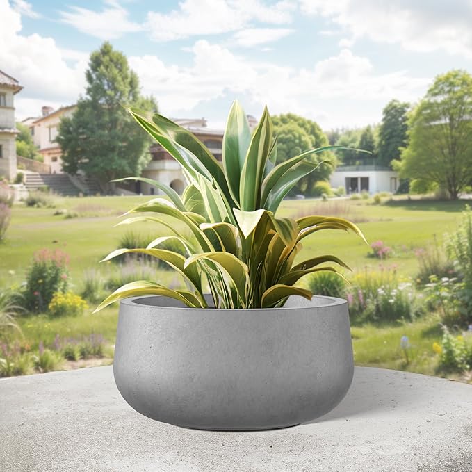 Kante 11.8" Dia Round Concrete Planter, Cement Plant Pots with Drainage Hole and Rubber Plug for Outdoor Indoor Garden Home, Modern Curvaceous Design, Natural Concrete