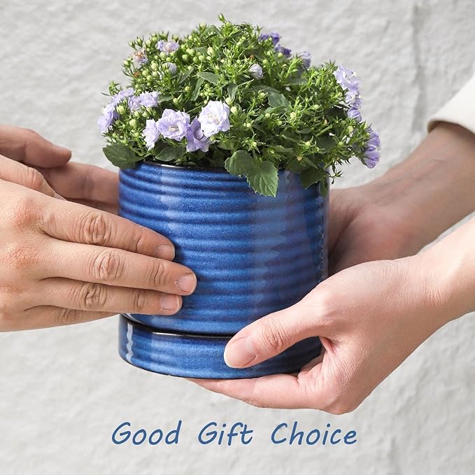 Hasense Small Plant Pots, 4.6 Inch Porcelain Planters with Drainage Holes and Tary, Mini Pots for Flower, Succulents, Cactus, Herbs, Modern Blue Decorative for Home Kitchen Office, Set of 4