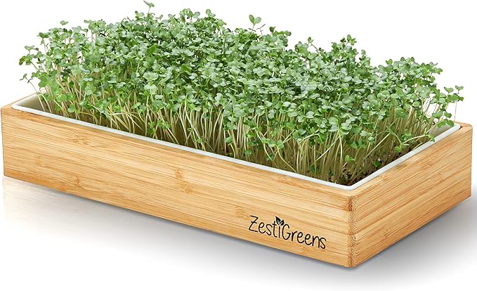 Microgreens Refill for Zestigreens Microgreens Growing Kit. Broccoli, Mixed Salad, Chia & Red Amaranth Organic Microgreen Seeds & 4 mats.