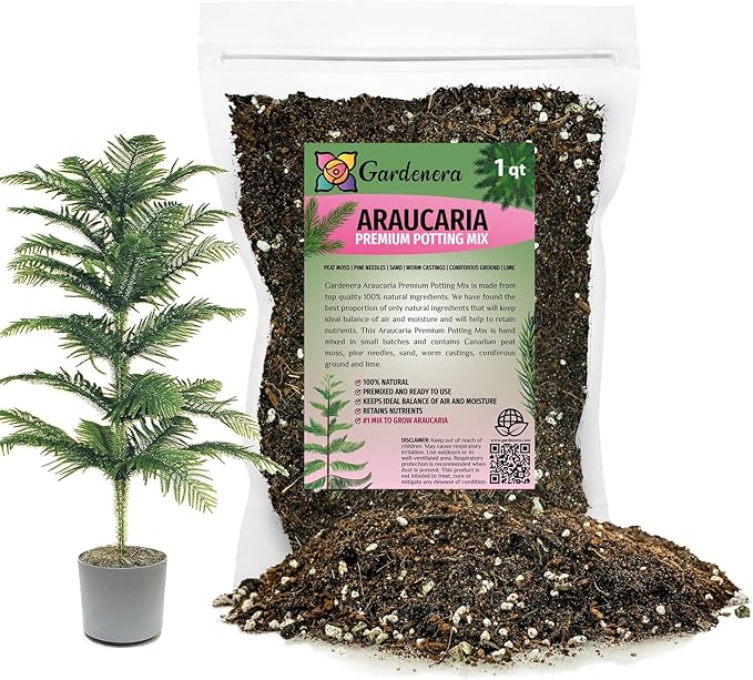 Premium Araucaria Potting Soil Mix - Perfect Balance of Nutrients, Drainage, and Aeration for Healthy Araucaria Trees - 1 Quart