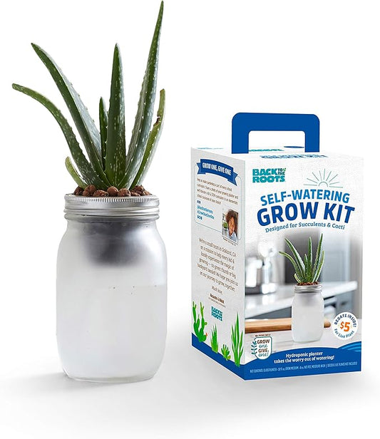 Back to the Roots Self Watering Grow Kit - Glass Hydroponic Planters for Succulents and Cacti Self-Watering System