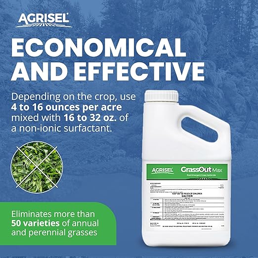 GrassOut Max Weed Killer, Targets 50+ Grassy Weeds Without Harming Desired Plants, Pet Safe, Large Area Treatment, Easy Application, Includes 3-Pack of Agrisel Protective Gloves, 128 Ounces