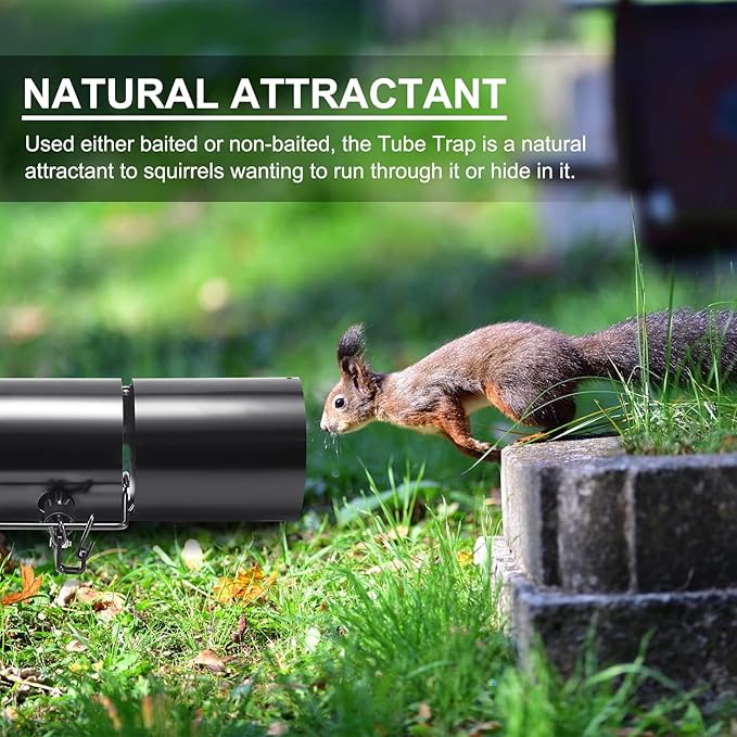 Qualirey Tube Squirrel Trap Rust Resistant Trap 4.5'' in Diameter with a Setting Tongs for Backyards Patios Gardens, Safe and Effective Pest Control Commercial and Residential Use(1 Pcs, 15 Inch)