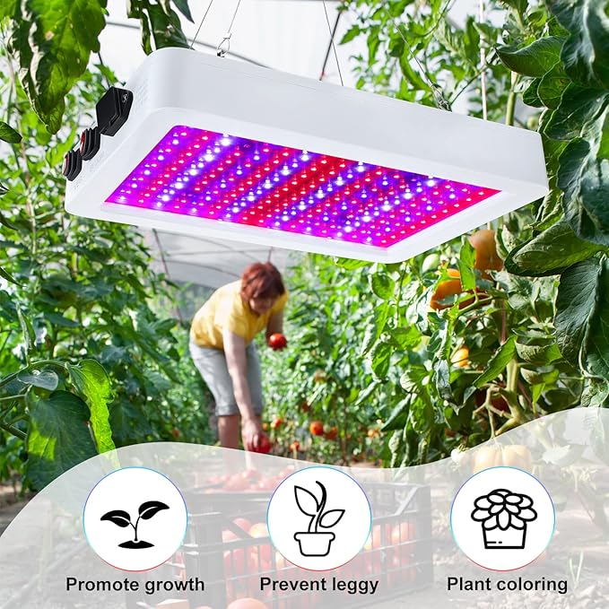 Supervitae 2 Pack 1000 watt LED Grow Lights for Indoor Plants Full Spectrum Growing Tent Lamps with Veg & Bloom & Veg-Bloom 3 Modes, Daisy Chain and Temperature Hygrometer for Vegetable and Flower