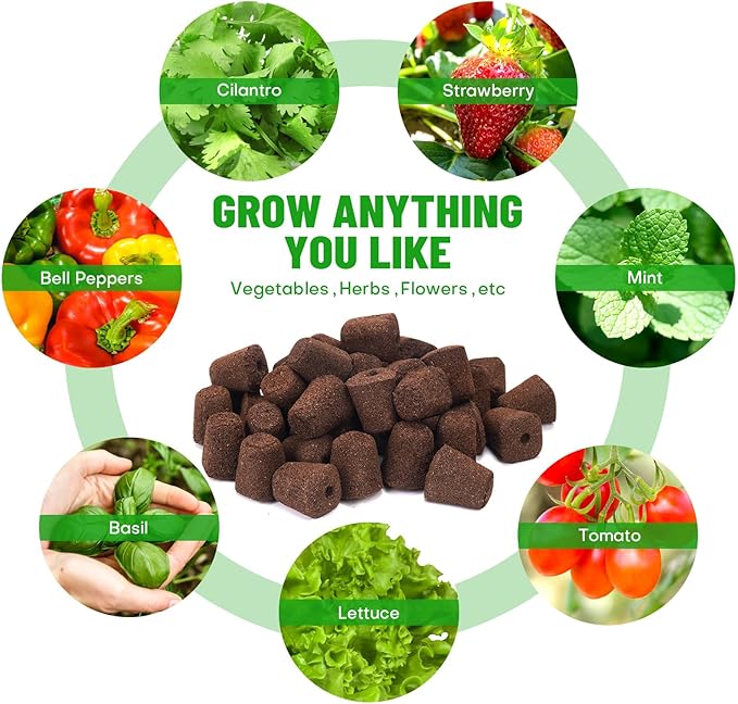 40 Pcs Grow Sponges with Tray, Starter Plugs for Seeds or Cuttings, Great for Soil, Tray or Planting Pods Plant Rooter, Promotes Herbs, Vegetables and Flowers Growth