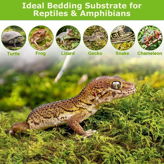 Legigo 1.3LBS Premium Forest Moss for Plants, 25 QT Natural Green Sphagnum Moss for Potted Plants, Dried Orchid Moss Potting Mix, Soft Real Moss Decorative for Houseplants Orchids Succulents Reptiles