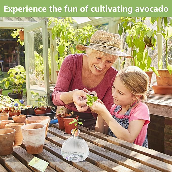 Avocado Seed Starter Vase,Thickened Striped Avocado Seed Sprout Glass Container, Avocado Tree Planting Growing Kit with Avocado Sticker for Plant Gardening Lover (Striped)