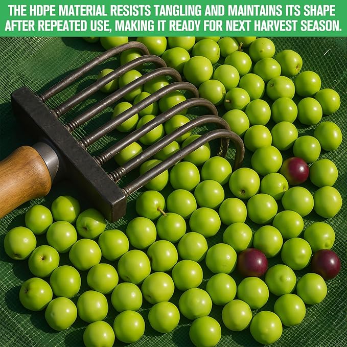 Fruit Collector Harvesting Net 13 x 13 ft with Ground Pegs and 2 Pairs of Gloves Reusable Leaf Agricultural Collection Netting Fruit Picking Basket for Trees Walnut Olive Chestnut