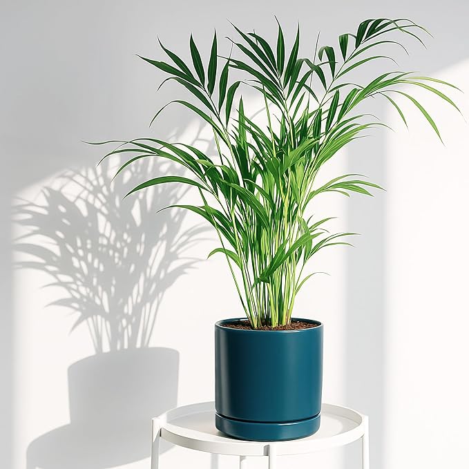 D'vine Dev 4.7 Inch & 6.5 Inch Ceramic Planter Pots for Plants with Drainage Hole and Saucer, Small Plant Pots Set, Teal, 94-G-S-9