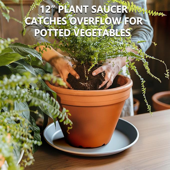 6 Pack 12 Inch Large Gray Plant Saucer Trays, Durable Heavy Duty Plastic PP Planter Bases, Round Water Catcher Plates and Drip Trays for Indoor Outdoor Gardening