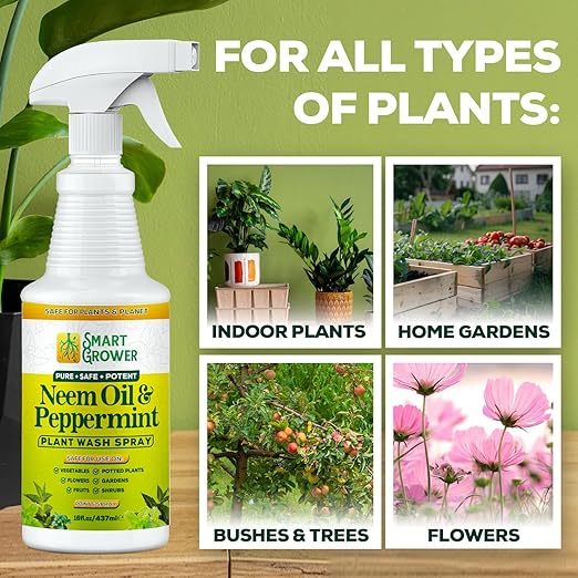 Neem Oil Spray for Plants with Peppermint Oil, Natural Plant Wash Made for Indoor and Outdoor Plants Smart Grower 16oz Easy Ready to Use Spray