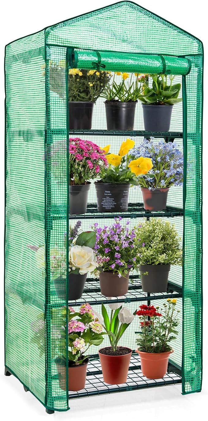 EAGLE PEAK Mini Greenhouse with Wire Shelves, Portable Indoor & Outdoor Green House with Roll-Up Zipper Door, 4 Tier, 27.2"x19.3"x64.2", Clear/Green PE Cover