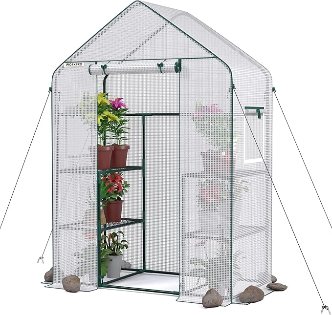 WORKPRO Greenhouse, 56"X 28" X 77" Portable Small Greenhouses for Outdoors & Indoors, Sturdy Green House Kit with Thicken PE Cover, Windows, 3 Tier 4 Shelves for Patio, Backyard, Balcony