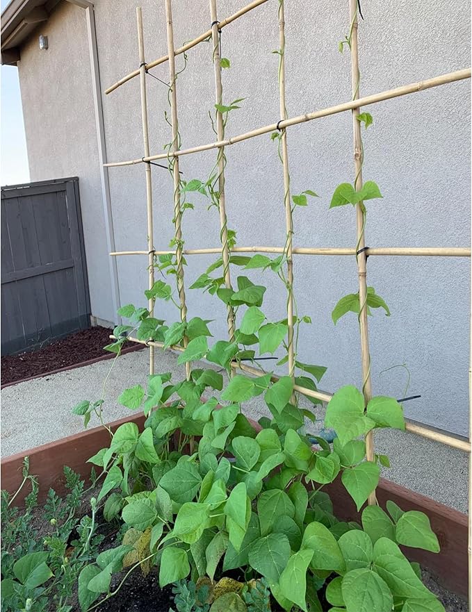 50Pcs Garden Stakes, 0.32”/16 Inch Bamboo Sticks，Natural Plant Stakes for Indoor and Outdoor Plants，Poles for Tomatoes, Beans, Potted Plants