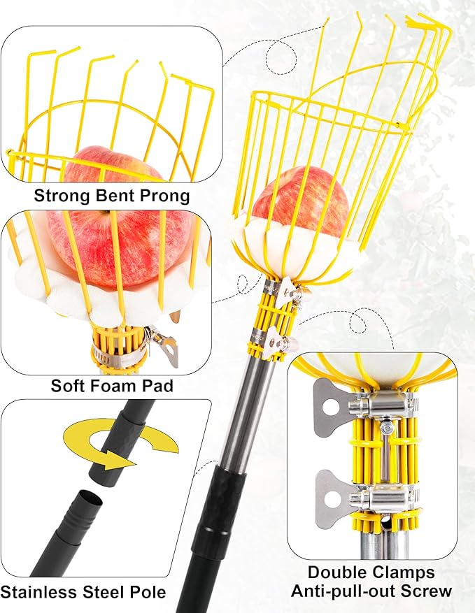 13.5FT Fruit Picker, Apple Picker Tool with Adjustable Pole and Basket, Long Reach Mango Grabber Tool, Tree Fruit Catcher for Picking Lemon Pear Orange Avocado Peach Citrus