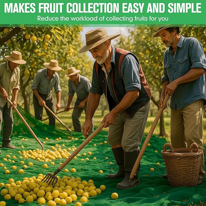 Fruit Collector Harvesting Net 26 x 13 ft with Ground Pegs and 2 Pairs of Gloves Reusable Leaf Agricultural Collection Netting Fruit Picking Basket for Trees Walnut Olive Chestnut