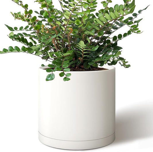Giraffe Creation 10-Inch Round Cylinder Plant Pot, Modern Indoor/Outdoor Planter with Drainage Hole, Saucer & Water Reservoir, White