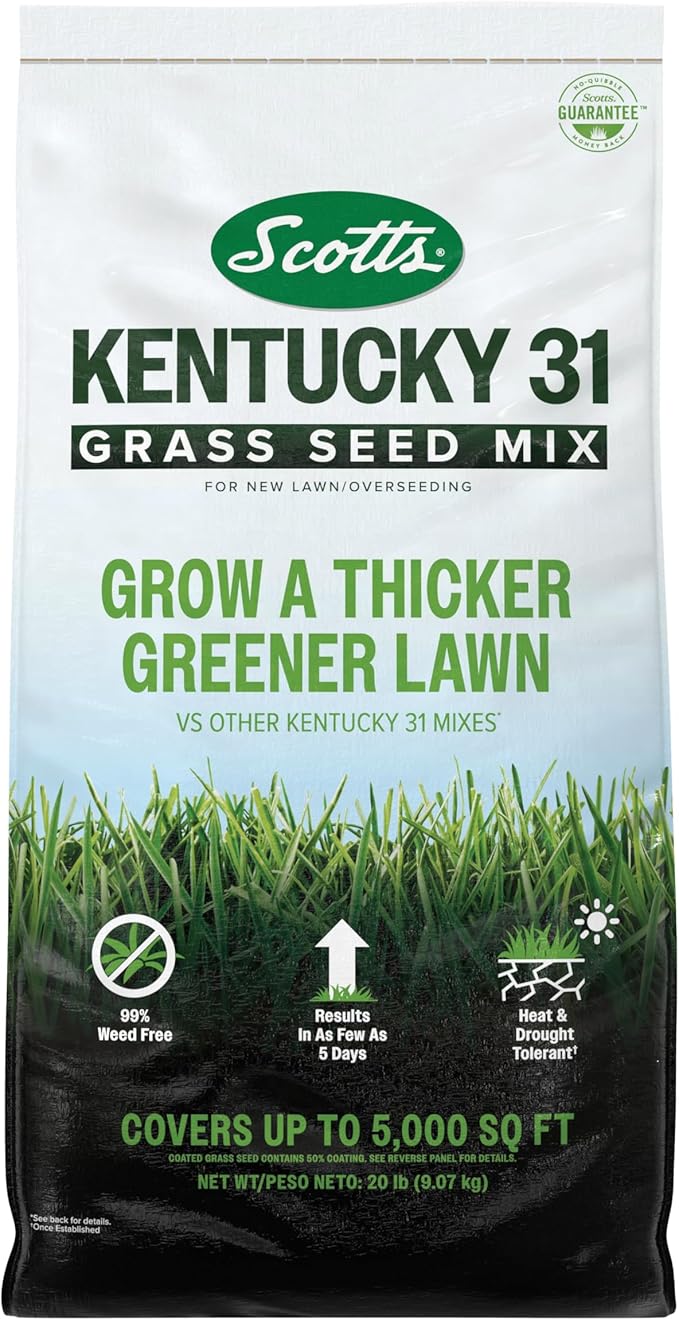 Scotts® Kentucky 31 Grass Seed Mix, for New Lawns or Overseeding, Results in as Few as 5 Days, 20 lbs.