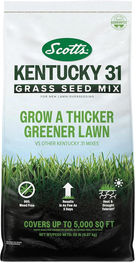 Scotts® Kentucky 31 Grass Seed Mix, for New Lawns or Overseeding, Results in as Few as 5 Days, 20 lbs.