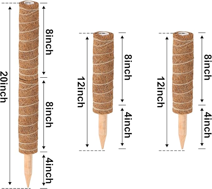 Augshy Moss Pole - 20 Inch Coir Totem for Monstera Climbing Indoor Creepers Plant Support Extension (2 Pieces, 12 Inch Each)