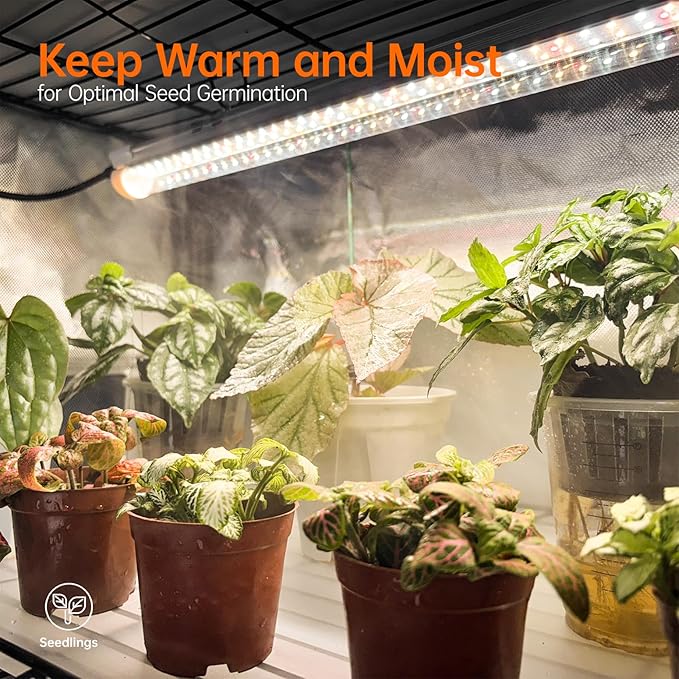 Indoor Greenhouse with Grow Light, Plant Stand with 4 Pack 5000K Full Spectrum Plant Lights , Plant Shelf with Tent for Indoor Plant, Seed Starting, Seed Tray, 29.5"x13.8"x59"