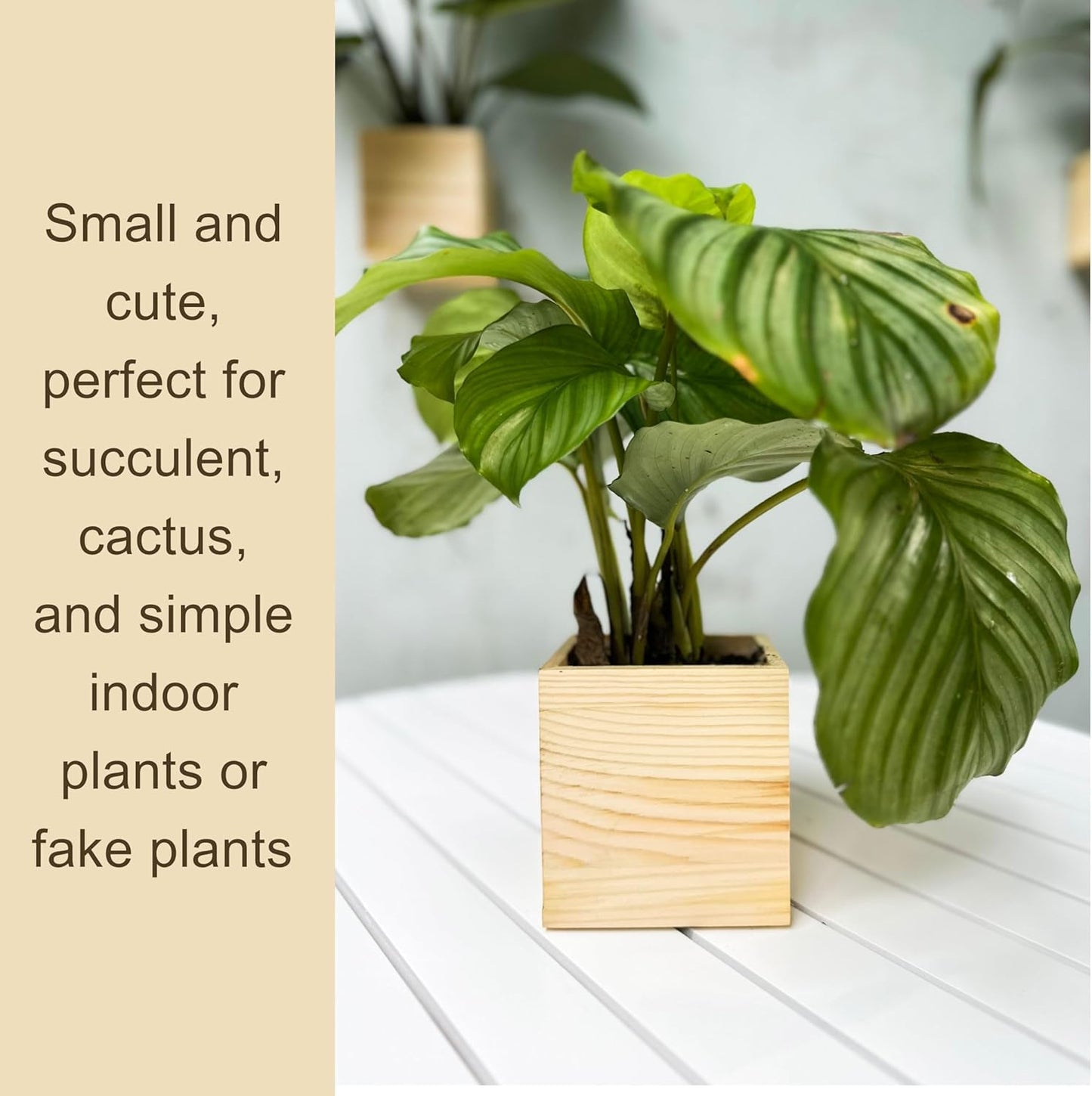 LaLaGreen Wooden Planter Box for Plants (4x4 Inch, 4 Pack) Small Square Wall Planters for Indoor Plant, Natural Wood Hanging Flower Pot Herb Planter Table Centerpiece Modern Home Garden Office Decor