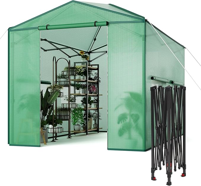 8X12 FT Portable Greenhouse for Outdoor,243 x 365 CM Wall in Pop Up Greenhouse for Gardening Plant, Zipper Roll Up Door & 4 Mesh Window, Double Frame, PE Cover Grow Tent for Winter, Green