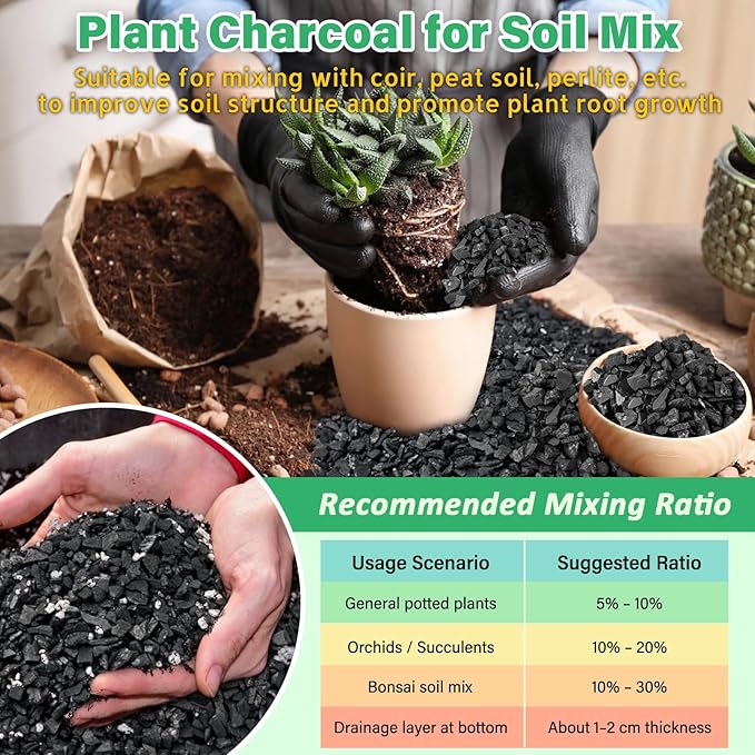 Legigo 6QT All Natural Horticultural Charcoal- Activated Hardwood Plant Charcoal for Soil Amendment, Conditioning Bonsai Soil, Succulent Soil, Terrarium Supplies, Indoor Plant Potting Soil