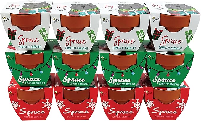 Buzzy Seeds Holiday Festive Friends Terracotta Mini Grow Pots | Assorted Spruce 12-Pack Bear, Penquin, Snowman | Tree Starter Kit for Kids & Adults | Guaranteed to Grow | Stocking Stuffers, Gifts
