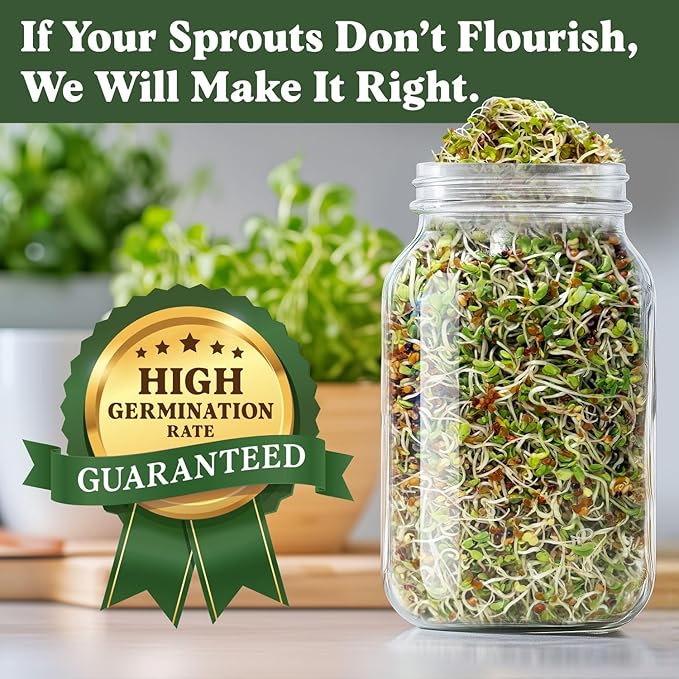 Seedboy Organic Sprouting Seeds - Longevity Blend- Non-GMO, USA Grown Microgreens Mix - Broccoli, Red Kale, Black Kale, Alfalfa - Makes Over 6 Quarts of Sprouts, 20 Servings (8 oz) (Longevity Blend)