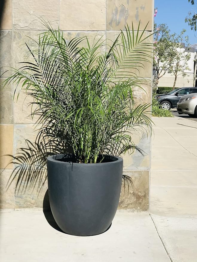 Kante 14 Inch Dia Round Concrete Planter, Indoor Outdoor Large Plant Pot with Drainage Hole and Rubber Plug for Home Patio Garden, Charcoal