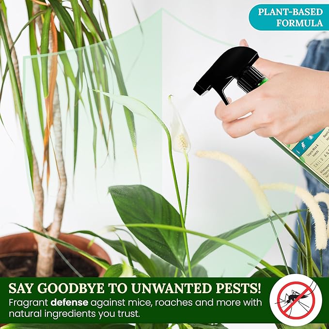 Peppermint Oil Mouse Repellent Spray - Roach Ant Spider Bug Insect Killer - Eco Friendly Pest Control to Repel Mice - Humane Repeller Alternative to Trap