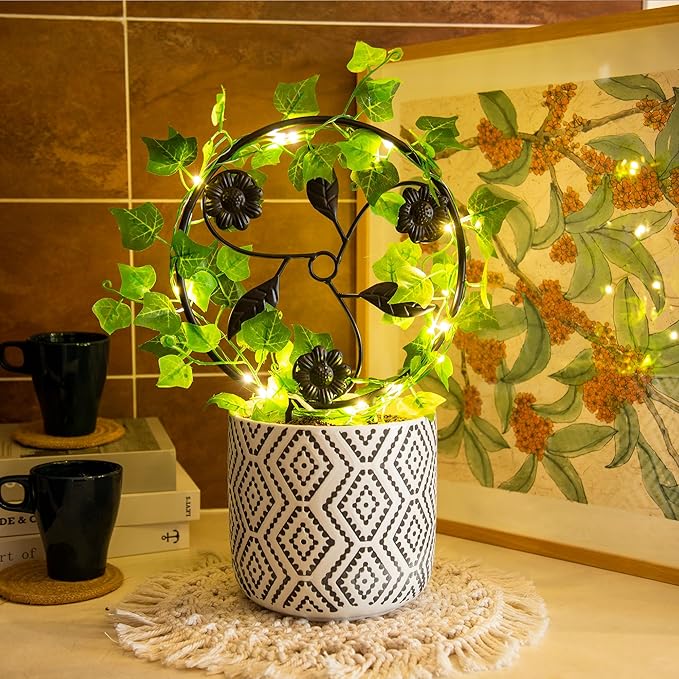 2 Pcs 14in Indoor Metal Garden Circle Plant Trellis for Houseplant Climbing Pot Plants, Black (Style E)