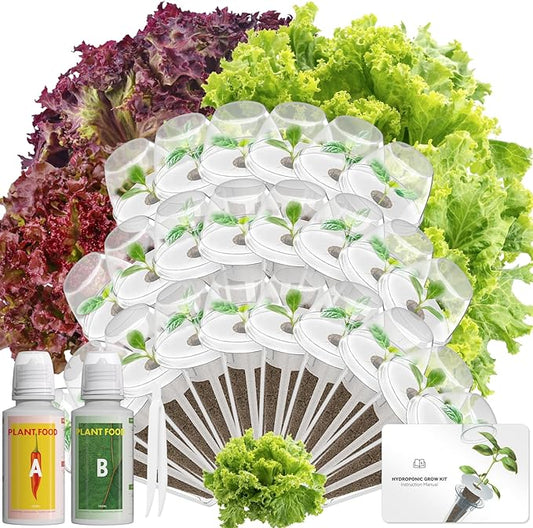 Red Romaine Lettuce Seed Pod Kits for AeroGarden, Ahopegarden, iDOO Hydroponics Growing System Indoor Herb Garden, 400+ Seeds, Including American Fast Lettuce, Red Romaine Lettuce(24-Pods)