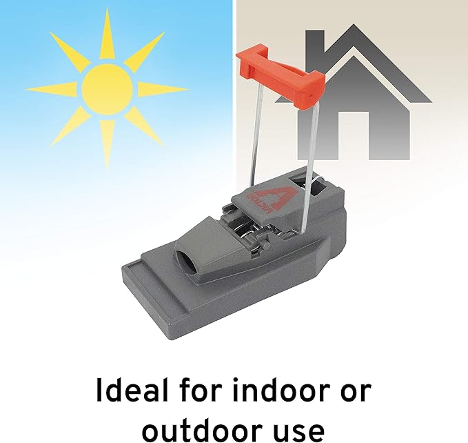 Victor M123SSR Quick-Kill Easy Set Mouse Trap - 6 Reusable Mouse Traps (Pack of 6)