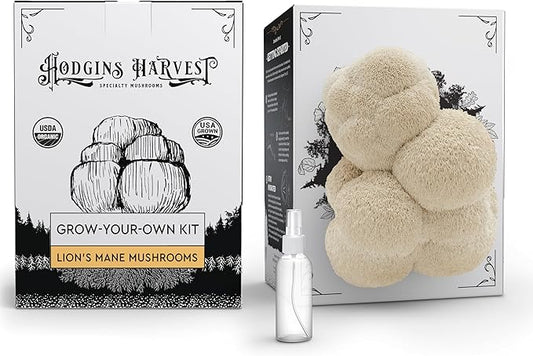Lion's Mane Mushroom Grow Kit | USDA Certified Organic | Grow Your Own Delicious Gourmet Mushrooms at Home