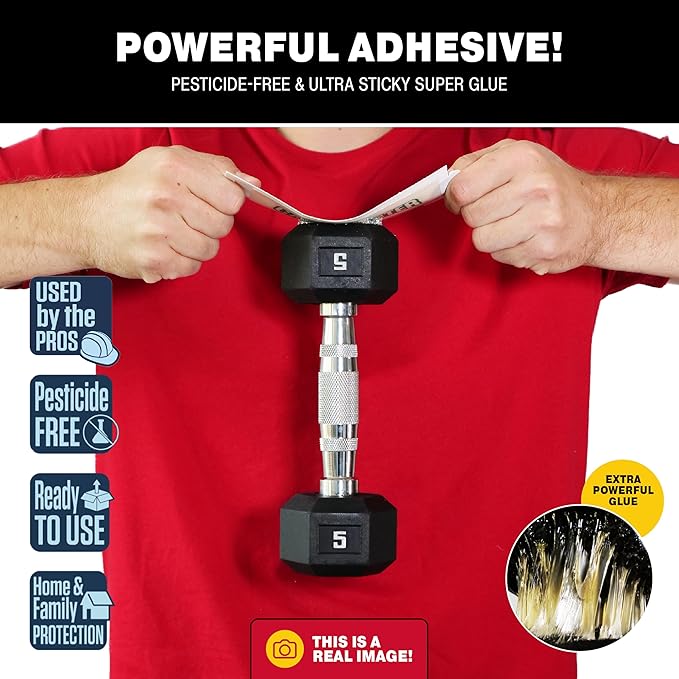 Catchmaster Crawling Pest & Insect Glue Traps 12-Count (3 Packs of 4), Insect Traps Indoor for Home, Pest Control Glue Boards, Adhesive Tray for Bugs, Spiders, Crickets, Roaches, & Ants