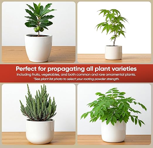 Hormex Rooting Powder #16 (1.60 IBA) - Rooting Hormone for Difficult Hardwood & Tree Cuttings - Root Growth Stimulator for Plant Cloning - Strong Roots for Maximum Propagation Success