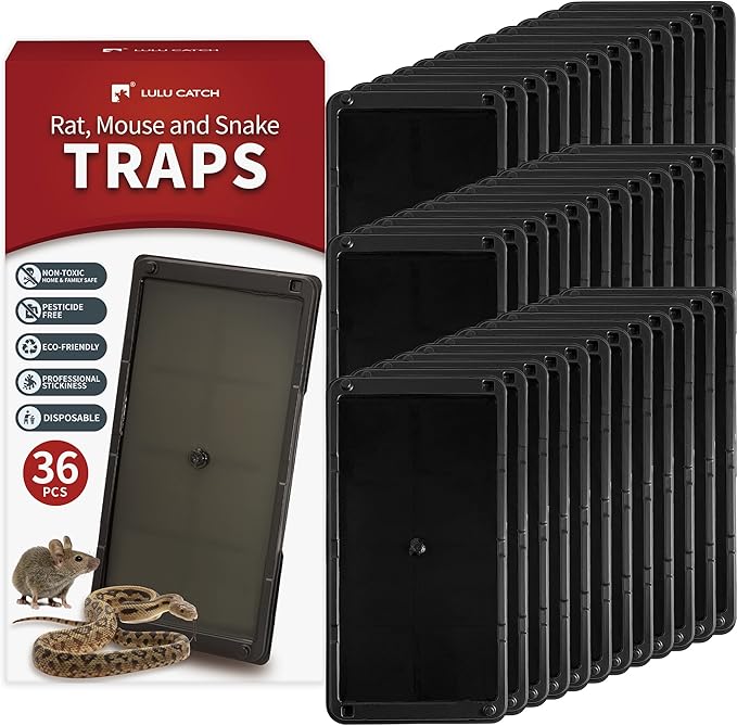 LULUCATCH Super Glue Traps 36 Pack for Mice & Snakes, Larger, Heavier Sticky Traps with Non-Toxic Glue. Sticky Mouse Traps Indoor, Easy to Set, Pet Safe Pest Control