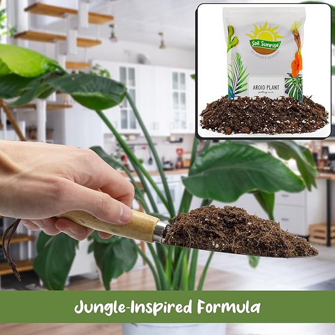 Aroid Plant Potting Soil Mix (8 Quarts), for Pothos Devil's Ivy, ZZ Plant, Chinese Evergreen, Dumb Cane, Philodendron, Syngonium, Alocasia, Colocasia Etc.