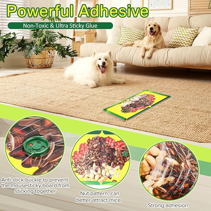 Qualirey 12 Pack Sticky Mouse Traps, Extra Large Glue Boards 8.3 x 11.8 Inch with Nut Attractant Print, Non-Toxic, Ready-to-use Indoor Rodent Catchers for Mice & Rats