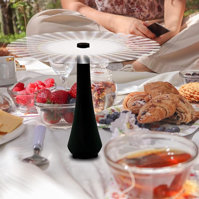 Fly Swatter for Outside or Inside Meal, Picnic Fan for Table Use, Fly Fans for Tables, Barbeque, Events, Battery Operated Food Spinning Fan