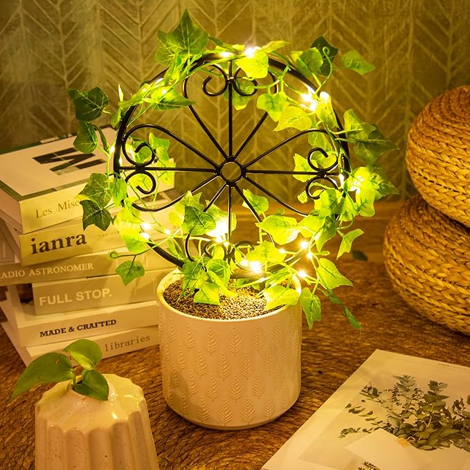 2 Pcs 14in Indoor Metal Garden Circle Plant Trellis for Houseplant Climbing Pot Plants, Black (Style D)