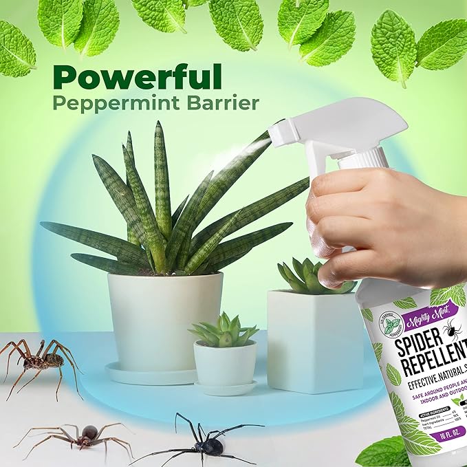 Mighty Mint Peppermint Oil Spider Repellent Spray – Natural Indoor & Outdoor Bug Control for Spiders and Insects – Plant-Based, Extra-Strong Formula - 16 oz