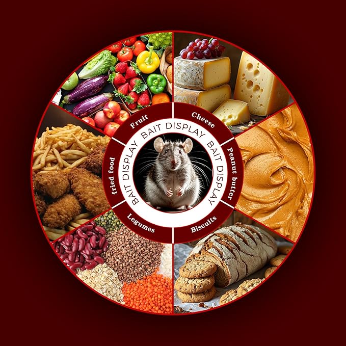 2 Pack Humane Rat Trap Live Mouse Trap Indoor Catch and Release Animal Cage Multi Large Bait Outdoor Reusable Chipmunk Mice Voles Rodent That Work (2)