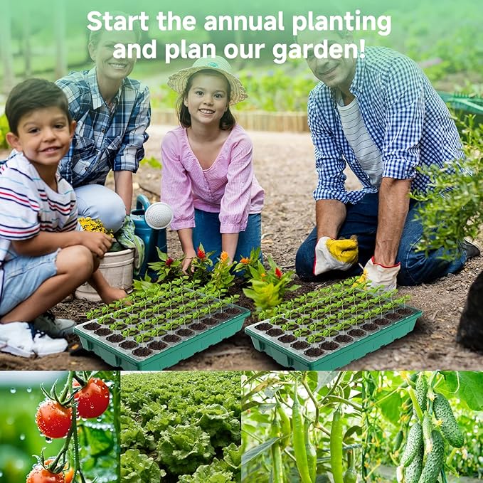 80 Cells Seed Starter Trays with Grow Lights, Color Change Grow Lights for Seed Starting Kit, 3 Timming Set, Plant Growing Kit for Gardeners，Germination Trays Kits