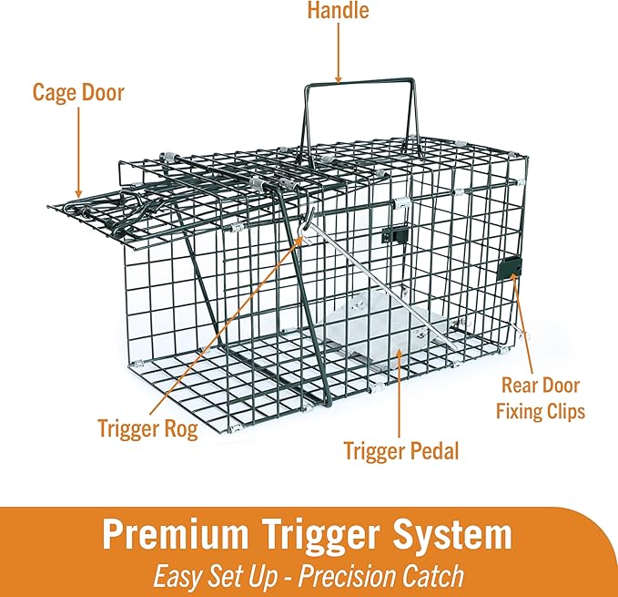HOMESTEAD Collapsible Live Trap 14in – Small Animal Trap Cage for Red Squirrels, Adult Rats, and Small Weasels with 1″ Mesh Wire