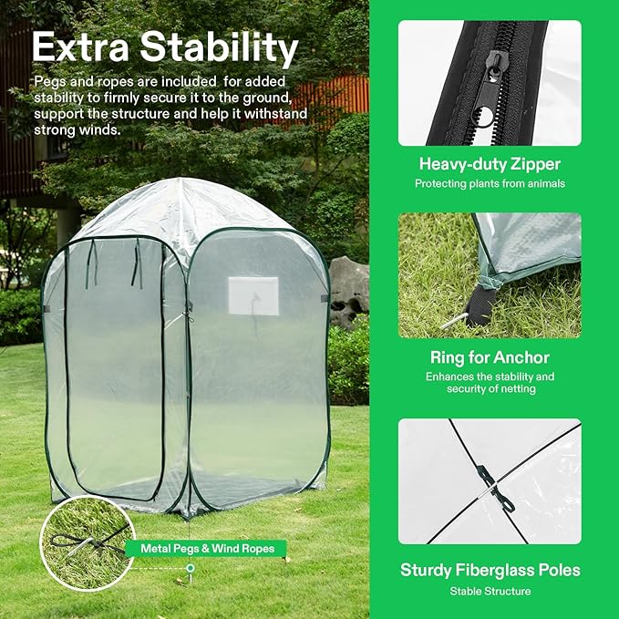 VIVOSUN 39x39x63-Inch Portable Walk-in Greenhouse, with PVC Cover & Detachable Base, Instant Pop-up and Folding, Mini Greenhouse with Roll-Up Door & Mesh Window for Indoor Outdoor, Wind Ropes Included