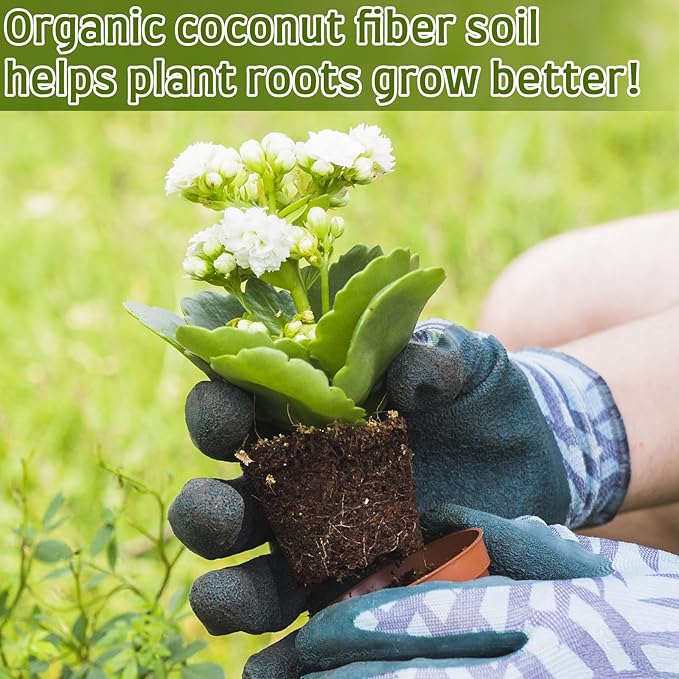 Halatool 50pcs 30mm Organic Coconut Coir Pellets Soil for Seed Starter, Compressed Coco Coir Potting Soil for Growing Vegetables, Fruits, Flowers