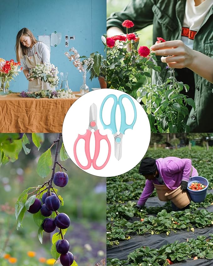 Flower Scissors - Stainless Steel Floral Scissors, Florist Cutters for Stems, Garden Plant Shears for Fresh Flowers (Blue, Pink) (12 PCS)